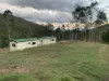 1517, Buaraba QLD 4311-Image