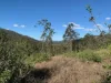 1517, Buaraba QLD 4311-Image