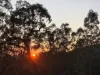 1517, Buaraba QLD 4311-Image