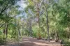 16 Truffle Circuit, Cowaramup WA 6284-Image