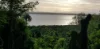 1640, Conway QLD 4800-Image