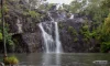 1640, Conway QLD 4800-Image
