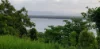 1640, Conway QLD 4800-Image