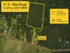 17-21 Allan Road, Conway QLD 4800-Image