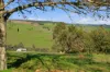 17 Riverview Close, Bridgetown WA 6255-Image