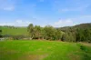 17 Riverview Close, Bridgetown WA 6255-Image