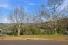 17 Riverview Close, Bridgetown WA 6255-Image