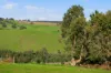 17 Riverview Close, Bridgetown WA 6255-Image