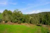 17 Riverview Close, Bridgetown WA 6255-Image