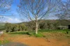 17 Riverview Close, Bridgetown WA 6255-Image