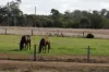 172, Cawdor QLD 4352-Image