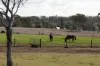 172, Cawdor QLD 4352-Image