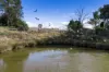 172, Cawdor QLD 4352-Image