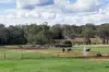 172, Cawdor QLD 4352-Image
