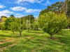 17a Doust Street, Bridgetown WA 6255-Image