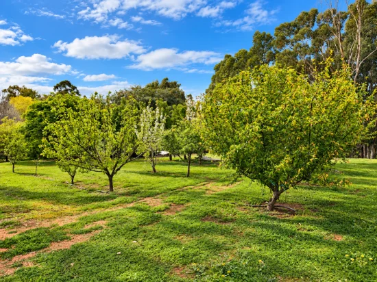 17a Doust Street, Bridgetown WA 6255-Image