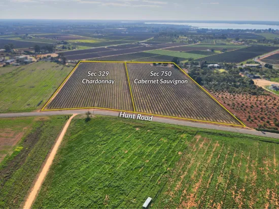 184 Caddy Road, Barmera SA 5345-Image