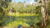 187 Rafting Ground Road, Agnes Water QLD 4677-Image