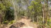 187 Rafting Ground Road, Agnes Water QLD 4677-Image
