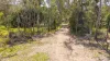 187 Rafting Ground Road, Agnes Water QLD 4677-Image