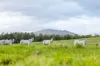 1890 Maleny - Kenilworth Road, Conondale QLD 4552-Image