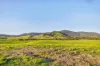 1890 Maleny - Kenilworth Road, Conondale QLD 4552-Image