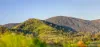 1890 Maleny - Kenilworth Road, Conondale QLD 4552-Image