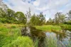 1890 Maleny - Kenilworth Road, Conondale QLD 4552-Image