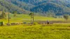 1890 Maleny - Kenilworth Road, Conondale QLD 4552-Image