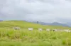 1890 Maleny - Kenilworth Road, Conondale QLD 4552-Image