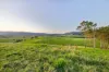 1890 Maleny - Kenilworth Road, Conondale QLD 4552-Image