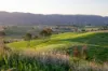 1890 Maleny - Kenilworth Road, Conondale QLD 4552-Image