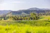 1890 Maleny - Kenilworth Road, Conondale QLD 4552-Image