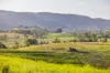 1890 Maleny - Kenilworth Road, Conondale QLD 4552-Image