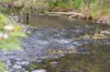 1890 Maleny - Kenilworth Road, Conondale QLD 4552-Image