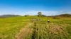 1890 Maleny - Kenilworth Road, Conondale QLD 4552-Image