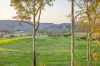 1890 Maleny - Kenilworth Road, Conondale QLD 4552-Image