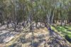 19 Armstrong Drive, Barham NSW 2732-Image