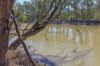 19 Armstrong Drive, Barham NSW 2732-Image