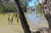 19 Armstrong Drive, Barham NSW 2732-Image