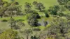 1a Kader Street, Bargo NSW 2574-Image