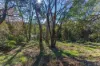 20 Second Street, Blackheath NSW 2785-Image