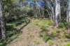 20 Second Street, Blackheath NSW 2785-Image
