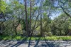 20 Second Street, Blackheath NSW 2785-Image