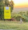 20 The Crescent, Agnes Water QLD 4677-Image