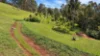 21 Rosella Rise, Bridgetown WA 6255-Image