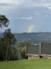 21 Wildflower Court, Clagiraba QLD 4211-Image