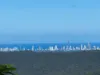 21 Wildflower Court, Clagiraba QLD 4211-Image