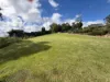 21 Wildflower Court, Clagiraba QLD 4211-Image