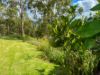 21 Wildflower Court, Clagiraba QLD 4211-Image